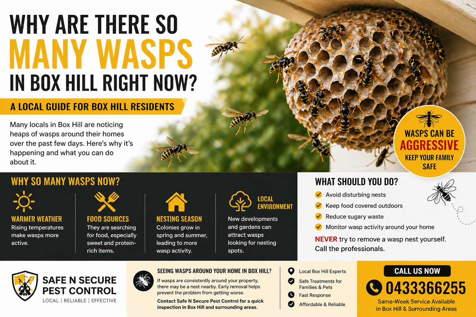 Wasp nest in Box Hill NSW showing increased wasp activity